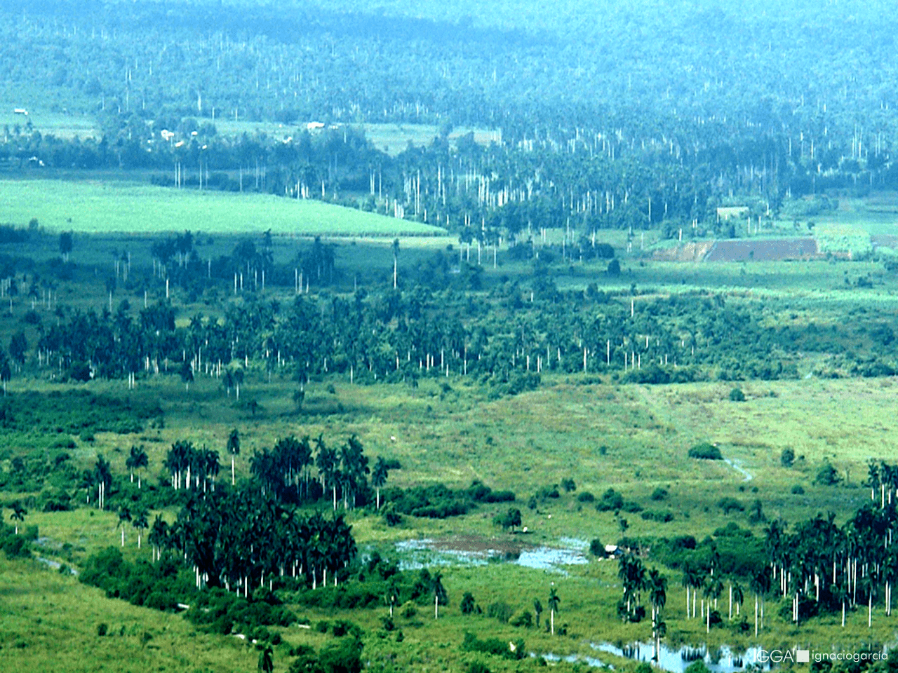 Buenavista DA Cuba