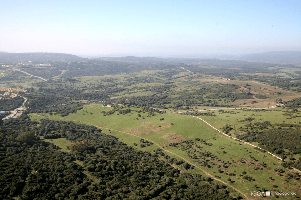 Alanda Sotogrande DA