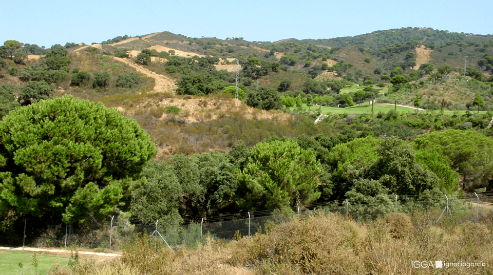 Elviria Norte DA