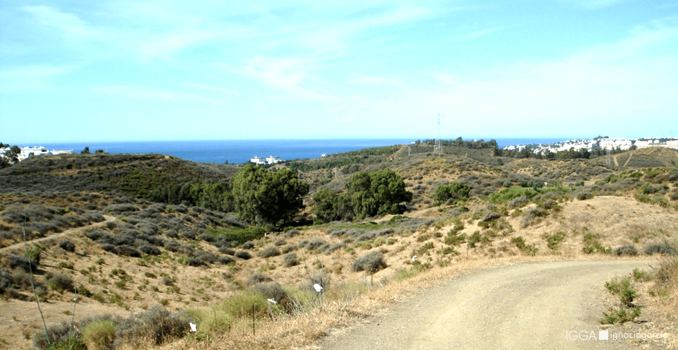 Cerro Piña DA