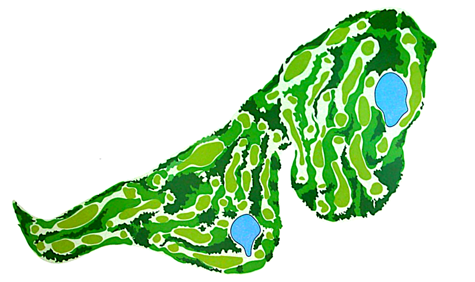 IGGA-Golf 3 PR