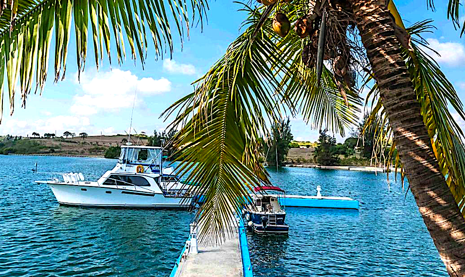 IGGA-Marina Tarará